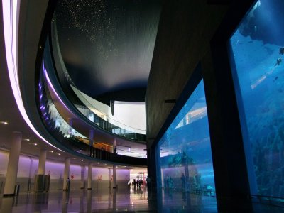 Dubai Mall Aquarium.jpg