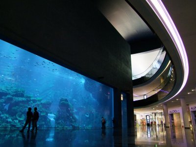 Aquarium Dubai Mall.jpg
