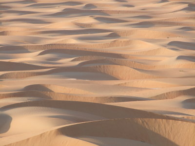 Sea of Sand Liwa Oasis.jpg