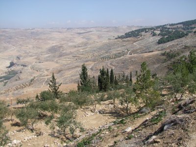 View from Mount Nebo Jordan.jpg