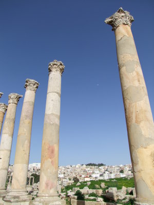 The Cardo Colonnaded Street 8 Jerash Jordan.jpg