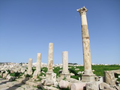 The Cardo Colonnaded Street 9 Jerash Jordan.jpg