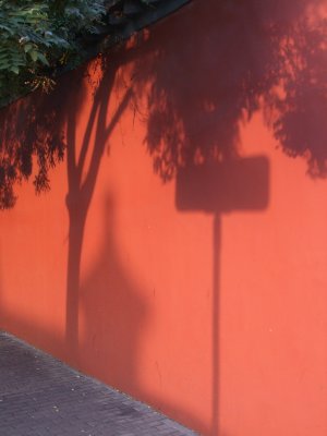 DSCF2407.jpg
