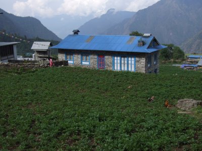 Summer Crops Lukla.JPG