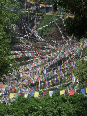 Prayer Flags Kathmandu.JPG