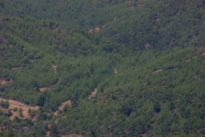 Spot the two Mi-35P's over the forest below