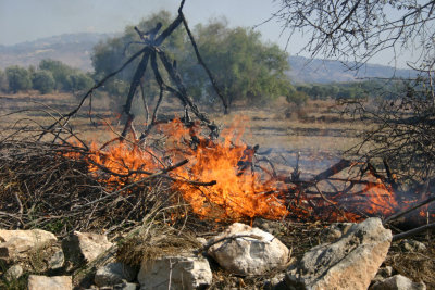 Firefighting in Cyprus