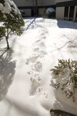 DSC_0968.jpg