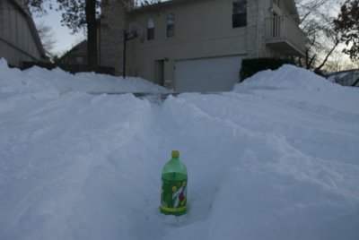 DSC_1029.jpg