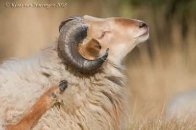 g1/36/682736/3/92868504.r1emJHym.jpg