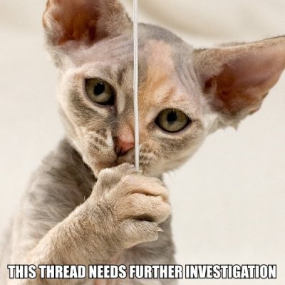 thread investigation