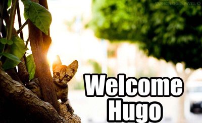 Lost Welcome hugo .jpg