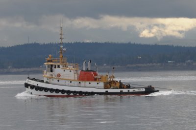 D300 Tugboat