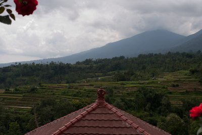 g1/36/737136/3/131718722.uubibKgX.jpg