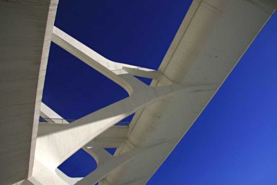 Valencia Calatrava_251.jpg