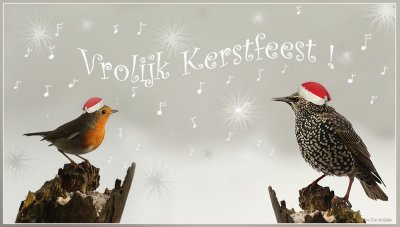Merry Christmas - Vrolijk Kerstfeest !