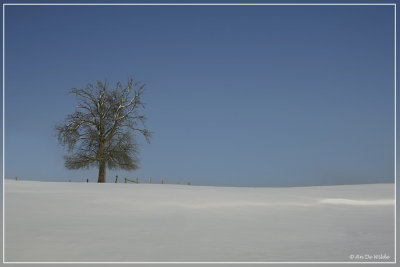 Ardennen in Winter