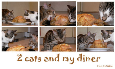 for the love of food