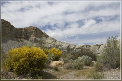 Rambla de Tabernas