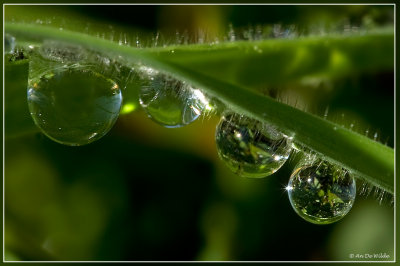 Crystal clear II