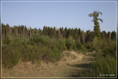 _MG_3699kopie.jpg
