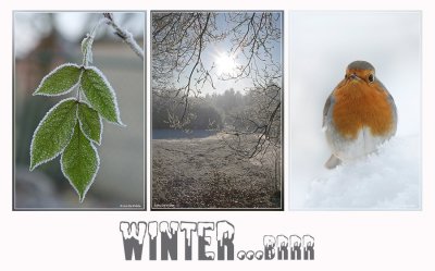 winter...brrr