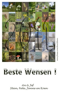 Best Wishes for 2011 !