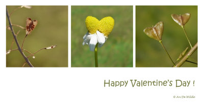 valentinesday.jpg