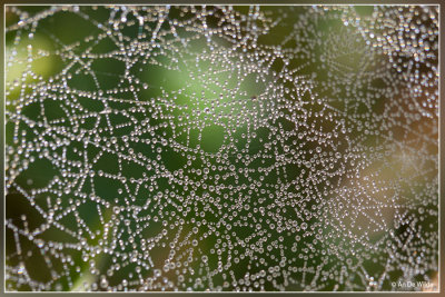 web hangmatspin