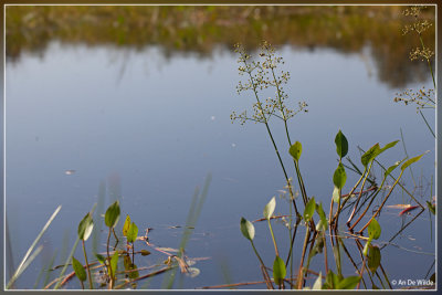 _MG_5046.jpg