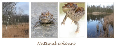 Natural colours
