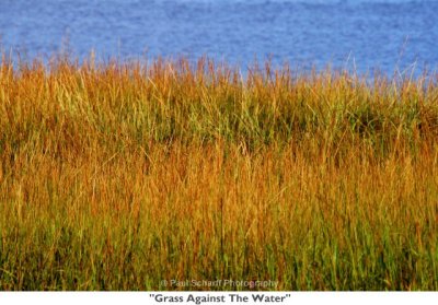 043  Grass Against The Water.jpg
