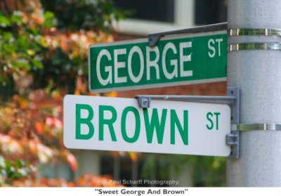 138  Sweet George And Brown.jpg