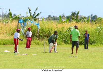 050  Cricket Practice.jpg