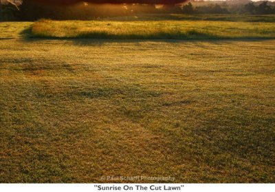 171  Sunrise On The Cut Lawn.jpg
