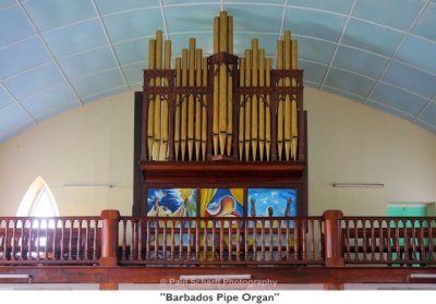 194  Barbados Pipe Organ.jpg