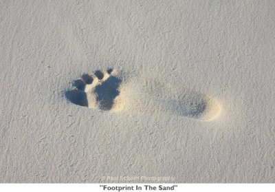 004  Footprint In The Sand.jpg