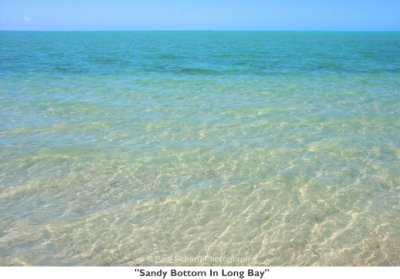 099  Sandy Bottom In Long Bay.jpg