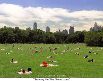 018  Sunning On The Great Lawn.JPG