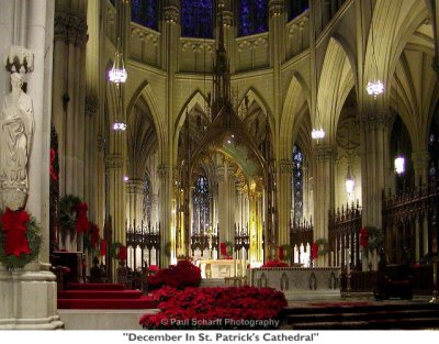 042  December In St. Patrick's Cathedral.JPG