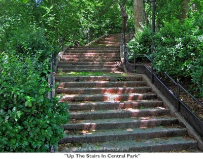 065  Up The Stairs In Central Park.JPG