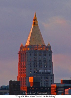 167  Top Of The New York Life Building.JPG