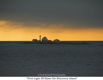 006  First Light Of Dawn On Discovery Island.JPG