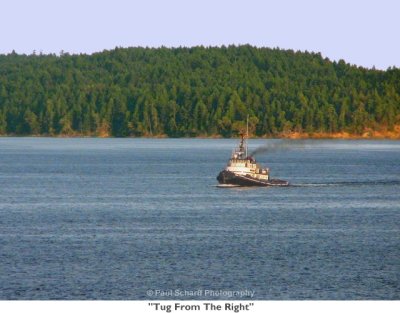 024  Tug From The Right.JPG