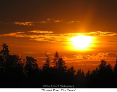 050  Sunset Over The Trees.JPG