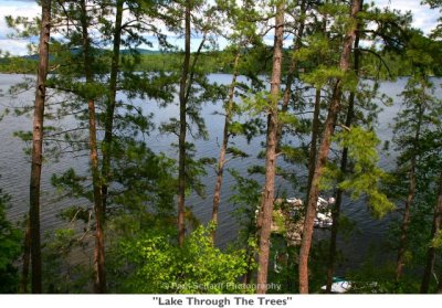 015  Lake Through The Trees.JPG