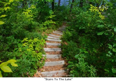 039  Stairs To The Lake.JPG