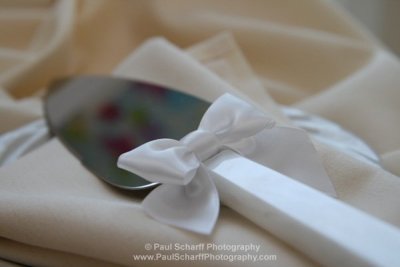 Wedding Sampler 020.JPG