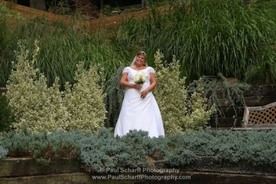 Wedding Sampler 084.JPG