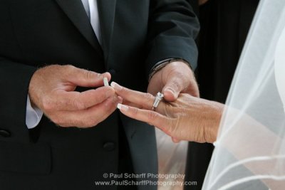 Wedding Sampler 153.JPG